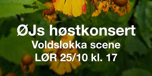 H\u00f8stkonsert