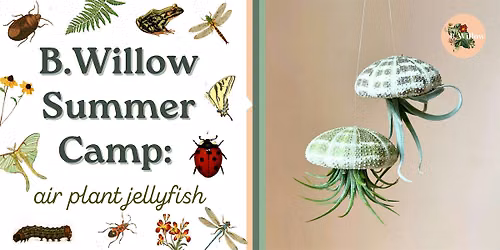 B.Willow Summer Camp: Air Plant Jellyfish