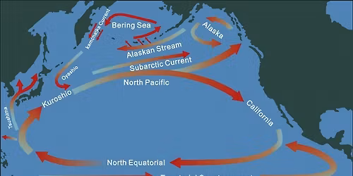 The Role of the Pacific Ocean and Adjacent Cryosphere in Past Abrupt Climate Oscillations