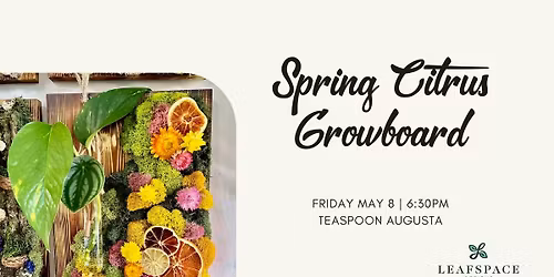 Spring Citrus Growboard