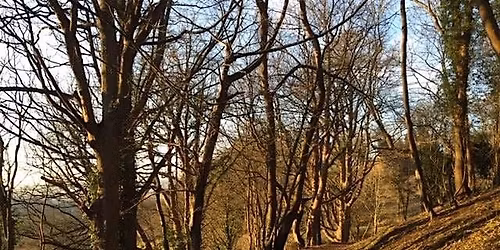 Sunday Heavens Valley Work Day