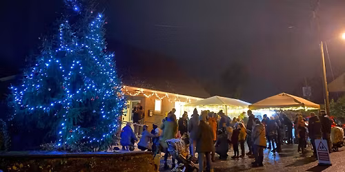 The Great Budock Water Christmas Lights Switch-On