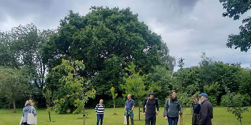 Tree Guardian event - Adamsdown and Splott