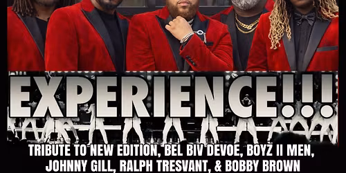 A night of R&B (Stevie Wonder and New Edition Tributes) Bands