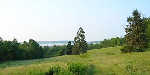 Silent Yoga, Meditation and Breathwork Retreat