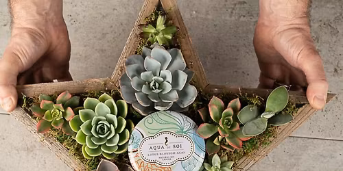Star Spangled Succulent Workshop