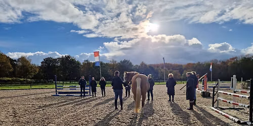 Cursus Paard & Gedrag