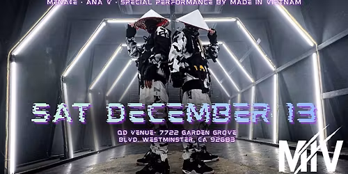 EDM Laser Music Night