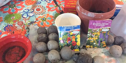 Little Gardeners' Seed Bombs