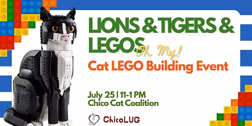 Lions & Tigers & LEGOS... Oh My! \ud83d\ude38