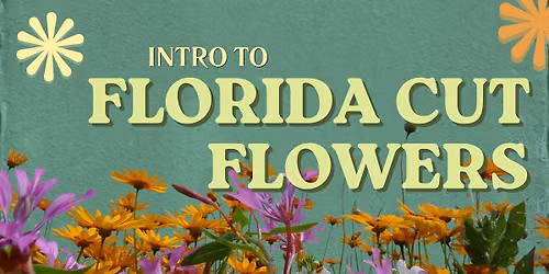 Intro to Florida Cut Flower Growing