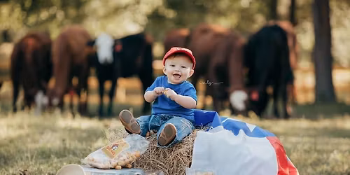 Mini Christmas Photoshoot