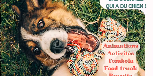 Cani'Colloc 3\u00e9me \u00e9dition