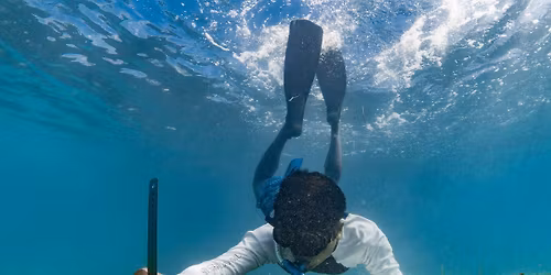 Whale Shark Snorkeling Conservation Cruise