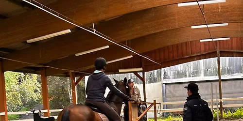 Working Equitation Wochenende mit Jannik Bode