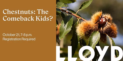Chestnuts: The Comeback Kids?