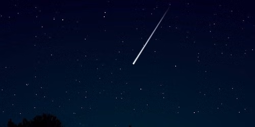 Meteor Shower Walk