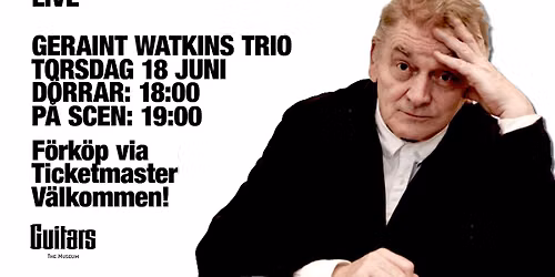 GERAINT WATKINS - MUSEIBAREN \/ GUITARS - THE MUSEUM