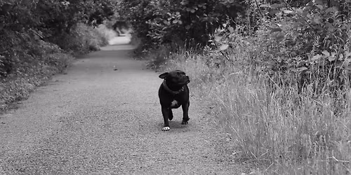 Maintenance Morning - Garw Valley Track