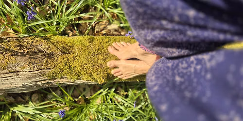 Wildheart Yoga - Woodland Evenings Wed 22 July 2026