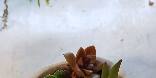 Spring Fever Reliever 