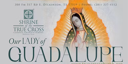 Fiestas de la Virgen de Guadalupe