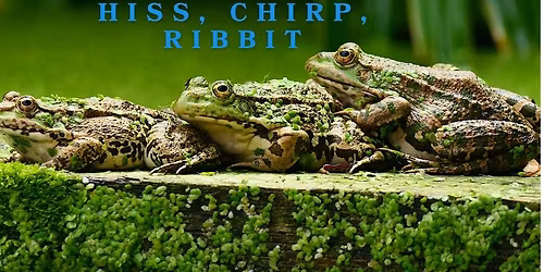 ECO Homeschool Adventures: Hiss, Chirp, Ribbit