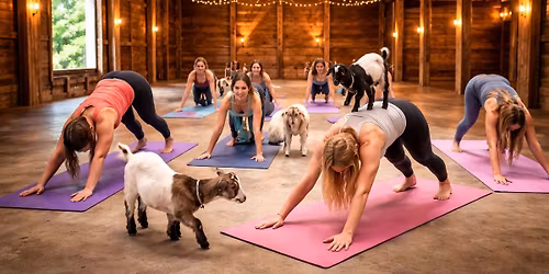 Goat Yoga in the Barn