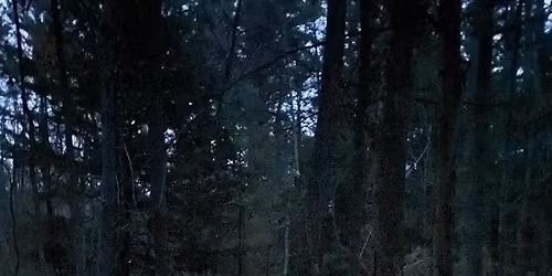 Spring Candlelight Hike 