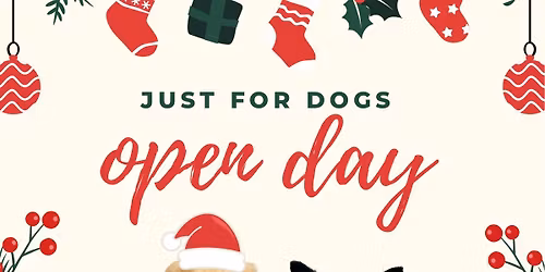 Just for Dogs | Open Day 🎄🐾
