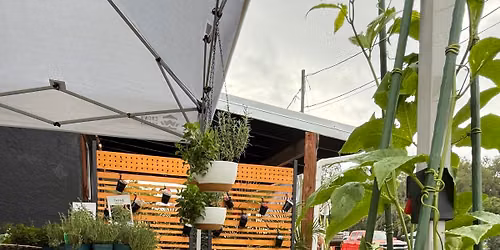 \u2018HELLO SUMMER\u2019 PLANT SALE \ud83c\udf89 @TWO SISTERS COFFEE CO.