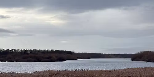 Midlife Hikers walk at Fairburn