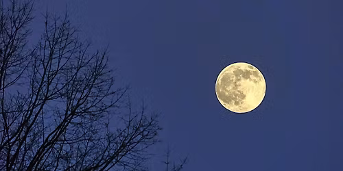 Full Moon Meditation for Women