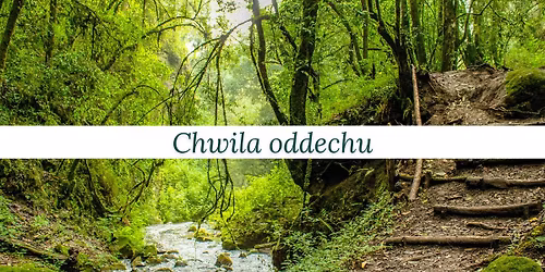 Chwila oddechu - grupowa sesja oddechowa - rebirthing