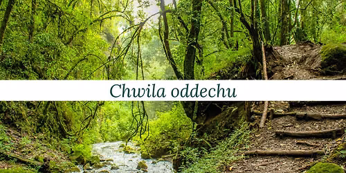 Chwila oddechu - grupowa sesja oddechowa - rebirthing