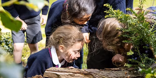 Mini Beast Hunt at Fettes Pre-Prep
