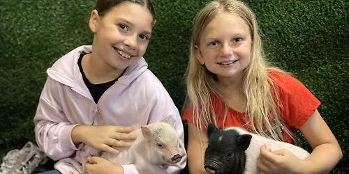 Baby Goats Snuggle, Piglets Social, Farm Animals Feeding, Ranch Tours