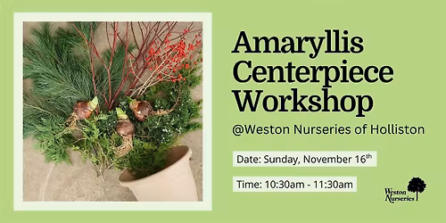Amaryllis Centerpiece Workshop