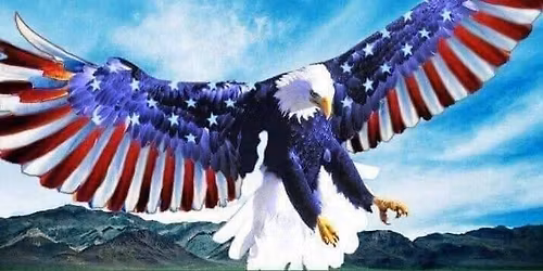 Veterans Helping Veterans Quarter Auction