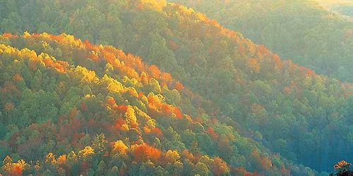 Dolly Parton's Smoky Mountain Christmas Carol - Ames