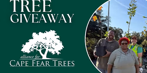 Wilmington Tree Giveaway