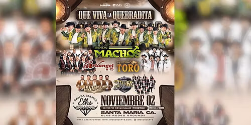 BANDA MACHOS, BANDA ARKANGEL R-15 Y MAS