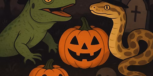 Cjs Spooktacular event
