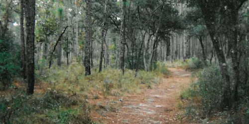 ALPan - Summer Trail Ride - Part 2
