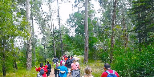 O Caminho da \u00c1gua \u2013 Oferta de Natal da Caminhadas Smile