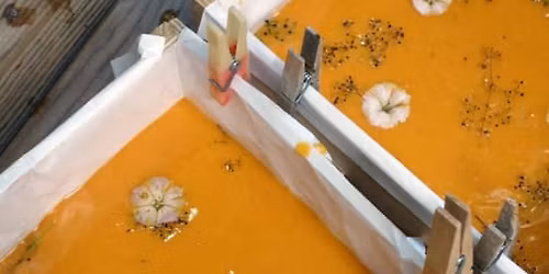 Naturseifen selber machen f\u00fcr Anf\u00e4nger