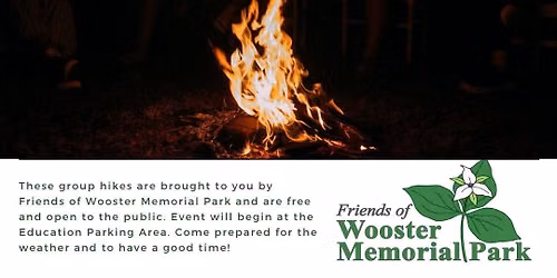 Campfire and June Fireflies