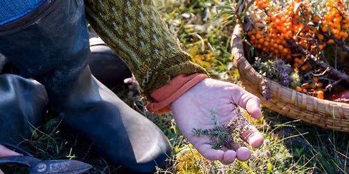 Foraging Walk