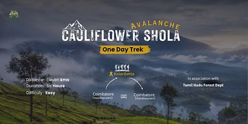 One Day Trek - Cauliflower Shola, Nilgiris