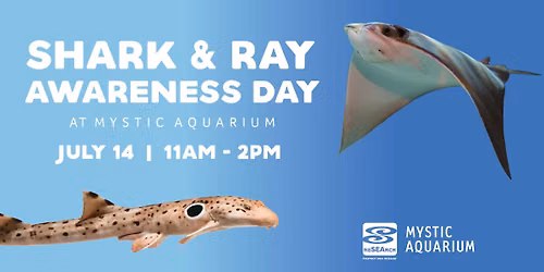 Shark & Ray Awareness Day